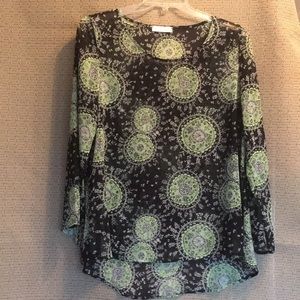 Chris & Carol 1X Sheer Top